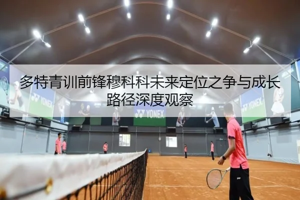 多特青训前锋穆科科未来定位之争与成长路径深度观察