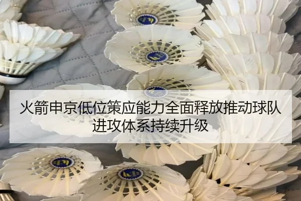 火箭申京低位策应能力全面释放推动球队进攻体系持续升级